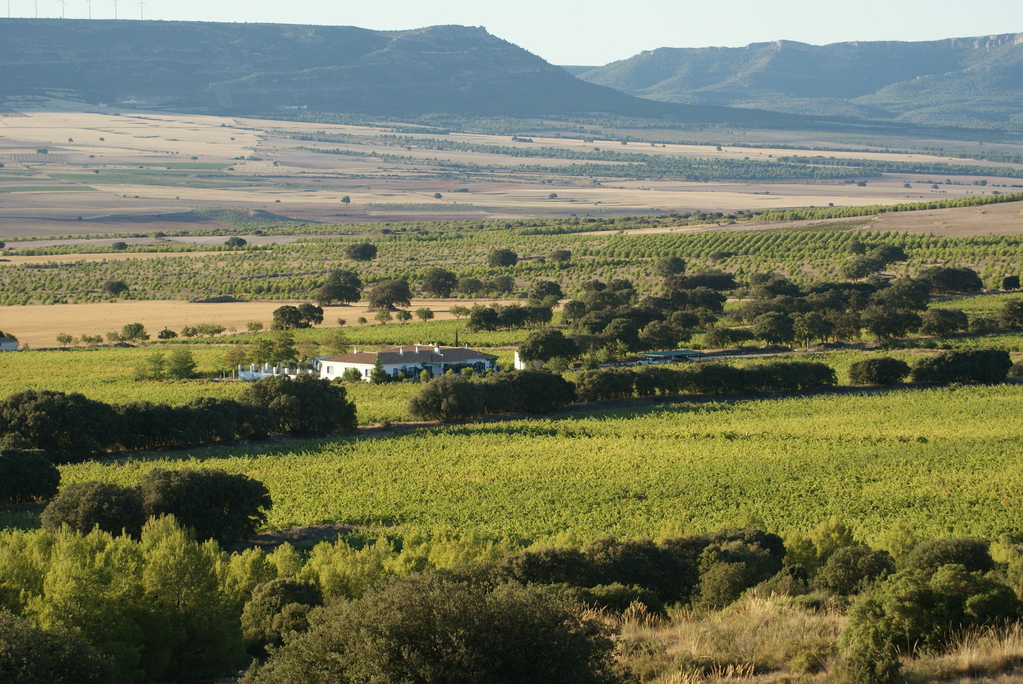 Finca El Romeral Альпера Экстерьер фото